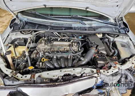 2010 Toyota Corolla Base z USA, uszkodzony, nr VIN 2T1BU4EE1AC461238